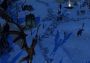 SpellForce 2: Demons of the Past EN/DE Global Steam Digital Key