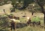 Men of War EN/DE/FR/IT/RU/ES Global Steam Digital Key