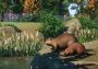 Planet Zoo - North America Animal Pack DLC Global Steam Digital Key