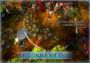 FORCED Slightly Better Edition EN/DE/FR/IT/PL/RU/ES Global Steam Digital Key
