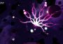 Nova Drift EN Global Steam Digital Key