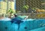 Hungry Shark World United States Xbox One/Series Digital Key