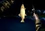 Ultimate Fishing Simulator Gold Edition Global Steam Digital Key
