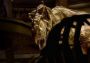 Jurassic Park: The Game EN Global Steam Digital Key