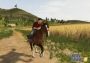 Farming Simulator 20 EU Nintendo Switch Digital Key