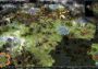 World Turtles EN Global Steam Digital Key
