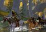 The Lord of the Rings Online - Steely Dawn Starter Pack DLC EN Global Steam Digital Key