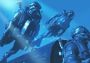 Call of Duty: Modern Warfare 2 - Steam Account Global Steam Digital Key