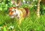 Wildlife Park 3 EN/DE/FR/IT/PL/CS/ZH Global Steam Digital Key