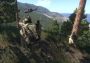 Arma 3 North America Steam Digital Key