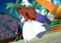 Dragon Ball FighterZ - FighterZ Pass DLC United States Steam Digital Key