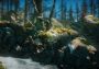 Unravel Two Global EA App Digital Key