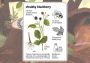 Little Mouse's Encyclopedia EN Argentina Xbox One/Series Digital Key