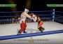 Action Arcade Wrestling EN Argentina Xbox One/Series Digital Key