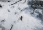 Edge of Collapse PRE-ORDER EN Global Steam Digital Key