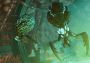 Borderlands 3 - Guns, Love, and Tentacles DLC EU Xbox One/Series Digital Key