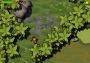 Adventures On The Polluted Islands EN/RU Global Steam Digital Key
