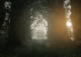 No70: Eye of Basir EN/DE/FR/ZH Global Steam Digital Key