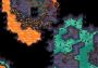 Curious Expedition 2 EN/DE/FR/JA/KO/ZH Global Steam Digital Key