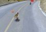 Longboard Stunts and Tricks Global Steam Digital Key