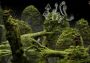 Samorost 3 EN/DE/FR/IT/PT/ES Global Steam Digital Key