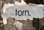 Torn EN/DE/FR/IT/JA/KO/ES Global Steam Digital Key