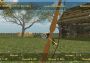 Precision Archery: Competitive Global Steam Digital Key