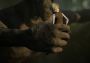 Bramble: The Mountain King EU PS5 Digital Key