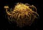 Samorost 3 Cosmic Edition Global Steam Digital Key
