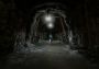 Secret World Legends - Dawn of the Morninglight DLC Collector's Edition Global Steam Digital Key