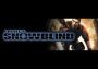 Project: Snowblind EN Global Steam Digital Key