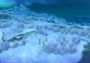 Ni no Kuni: Wrath of the White Witch Remastered Edition EN/DE/FR/IT/JA/RU/ES EU Steam Digital Key