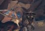 Exoplanet: First Contact EN Global Steam Digital Key
