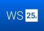 Windows Server 2025 Standard EN Global MS Products Digital Key