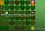 Frogs vs. Storks EU Nintendo Switch Digital Key