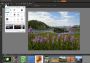 Corel PaintShop Pro x9 EN Global Software License Digital Key