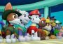 Paw Patrol: On A Roll! Argentina Xbox One/Series Digital Key