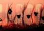 Rain World: Downpour DLC Argentina Xbox One/Series Digital Key