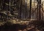 Blair Witch Colombia Xbox One/Series/Windows Digital Key