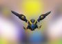 Roblox - Plasma Wings DLC EN Global Official website Digital Key