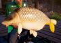Fishing Sim World: Pro Tour - Laguna Iquitos DLC EN/DE/FR/PL/RU/ZH/ES Global Steam Digital Key