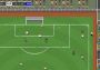 Tiny Football Global Steam Digital Key