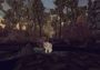 Paws: A Shelter 2 Game EN/DE/FR/IT/RU/ZH/ES/SV Global Steam Digital Key