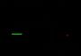 Snakest EN/PT Global Steam Digital Key