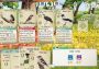 Wingspan: European Expansion + Wingspan: Oceania Expansion - Bundle DLC Brazil Xbox One/Series Digital Key