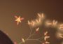 Eufloria EN/DE/FR/IT/NL/ES Global Steam Digital Key