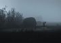 Inside & Limbo EN/DE/FR/IT Global Steam Digital Key