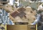 Commandos 2 & Praetorians HD: Remaster - Double Pack EU Steam Digital Key