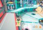 Super Chicken Catchers Global Steam Digital Key