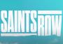 Saints Row EN ROW Steam Digital Key